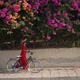Wide Shot Street with Blooming Trees and Young Woman in Red Dress Passing with Bicycle in Slow - VideoHive Item for Sale