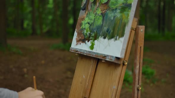 Young Girl's Hand Making a Few Strokes on the Landscape Drawings in the Forest alt