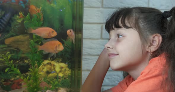 Child relax by aquarium. alt