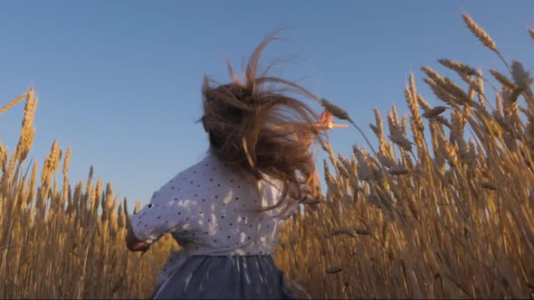 Happy Little Girl Playing with Airplane on a Wheat Field During Sunset. Concept Big Child Dream. alt