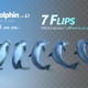 Dolphin Flips - VideoHive Item for Sale