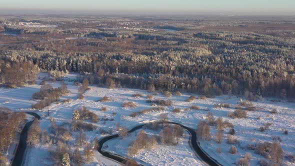 Huge Expanses of Snowcovered Pine Forest After Snowfall on a Bright Sunny Day