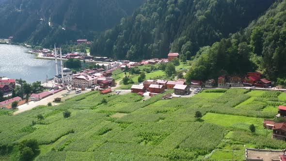 aerial drone flying across farmland in the mountain village of Uzungol Trabzon on a sunny summer day alt