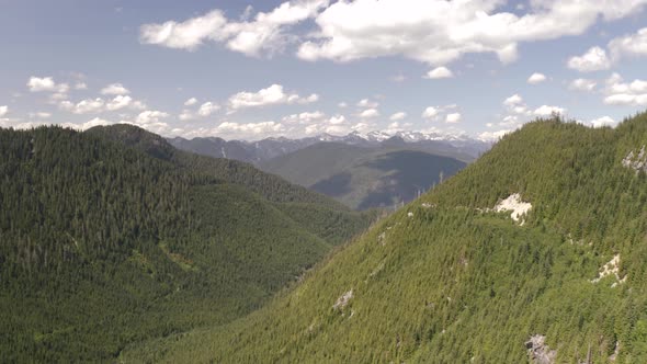 Aerial truck left of verdant hillside covered in dense green pine woods on a cloudy day, mountains i alt