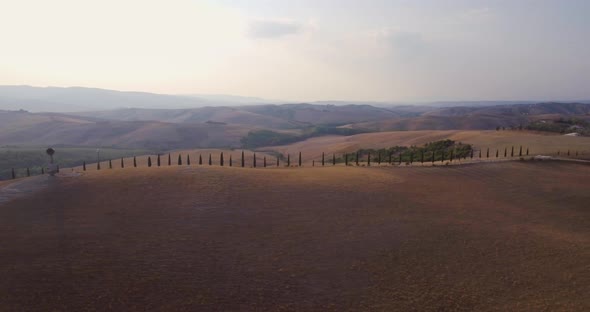 Aerial Gorgeous View On Plowed Fields Landscape And Rows Of Cypress Trees In Tuscany