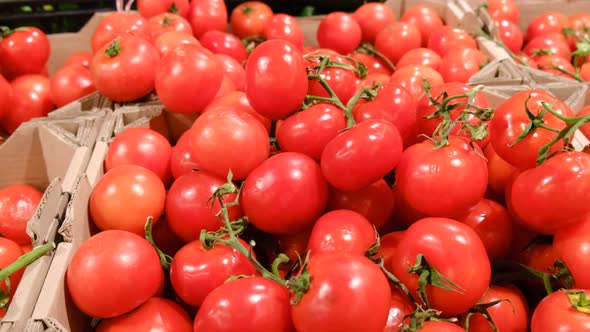 Red Tomatoes in Cardboard Boxes in the Market alt