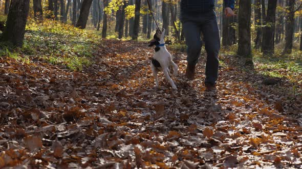 A man in plaid coffee and jeans runs with his dog on leash through an autumn forest alt
