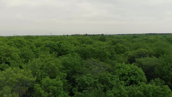 Drone flies forward above the tree tops in a boreal forest during a cloudy day near the trees. Power alt