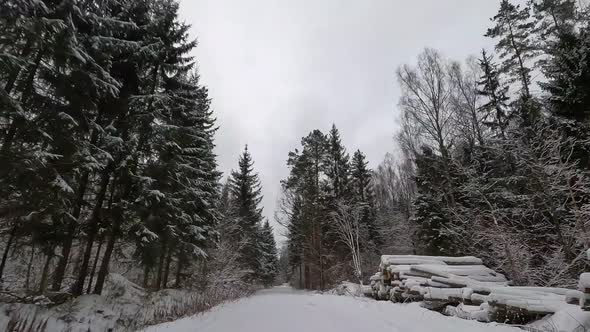 Time lapse video in the forest in Russia in January. alt