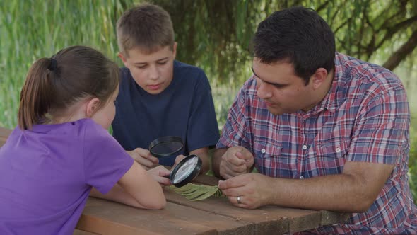 Kids at outdoor school looking at fern with teacher