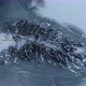 Fallen Tree in Winter Aerial Footage