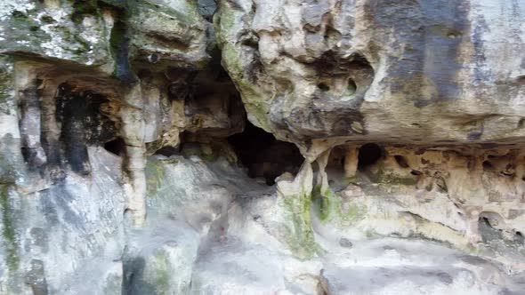 The Cave Grotto in the Forest