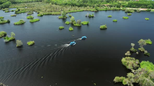 Aerial view of tourists in tropical mangrove forest at national park.