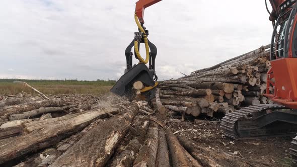 Harvester Cutting Tree Trunk in field near the forest 22 alt