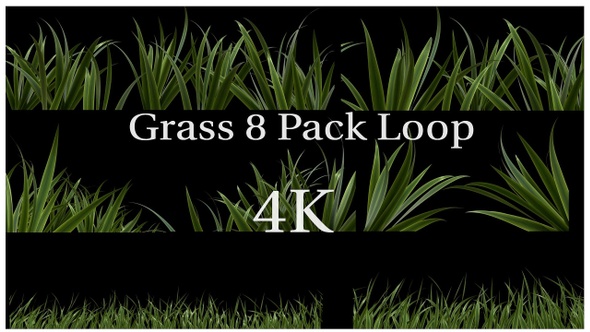 Realistic Grass Loop 4K