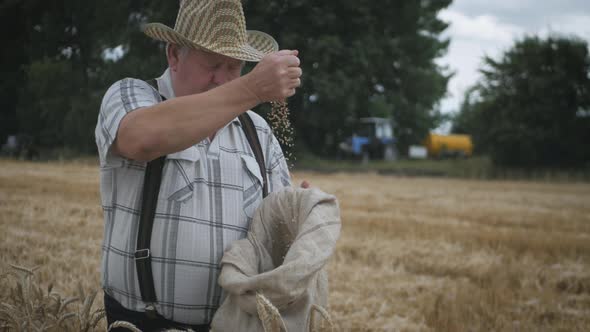 Mature Farmer Man Standing in a Wheat Field During Harvesting, He Controls the Harvesting Process alt
