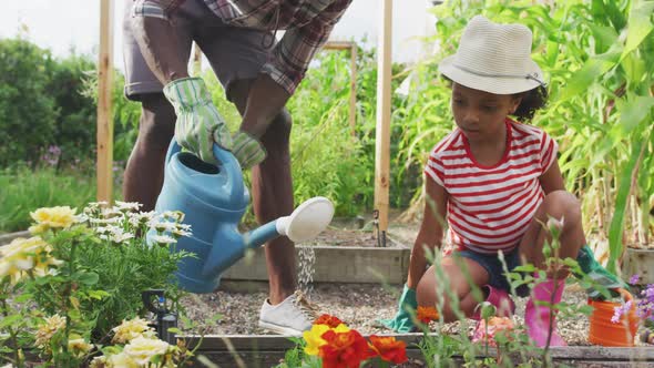 African american father and daughter watering plants alt