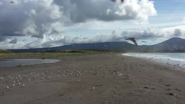 Iturup island: coast and mountains alt