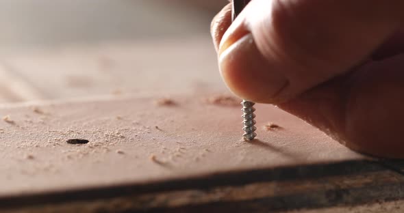 Craftsman drives the screw into the wooden board 