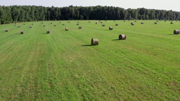 Aerial view of summer hay rolls straw field landscape. Harvest season.