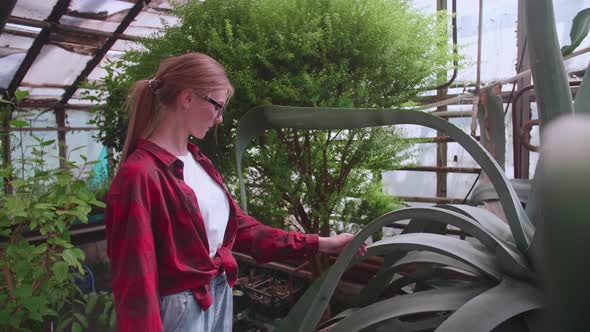 Young Girl Greenhouse Worker Carefully Checks Plants and Flowers for Parasites