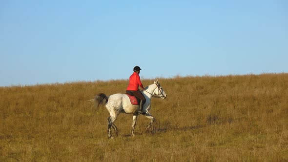 Girl Riding a Horse Galloping Across the Field. Slow Motion alt