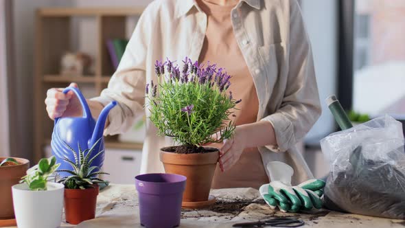 Woman Planting Pot Flowers at Home