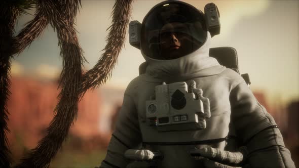 Astronauth in the High Desert of Nevada alt