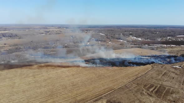 5 Burning Last Year's Grass