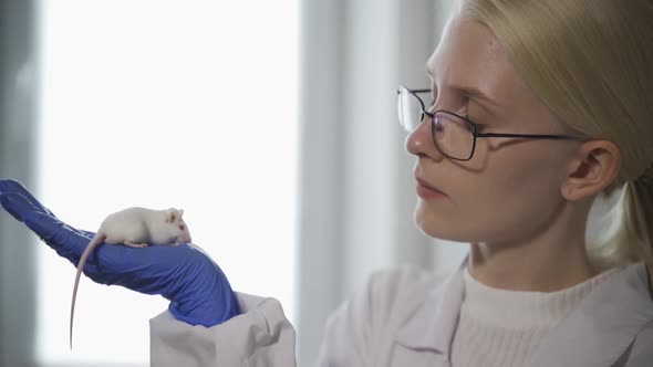 A Young Woman Scientist with Glasses Holds an Albino Experimental Mouse