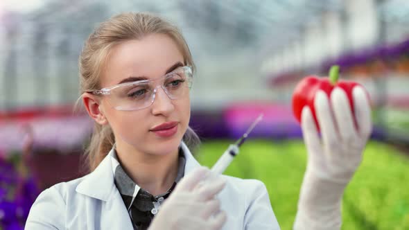 Portrait of Agricultural Engineer Scientist Female Injecting Sweet Pepper for Analyzing alt