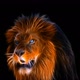 Fractal Lion - VideoHive Item for Sale