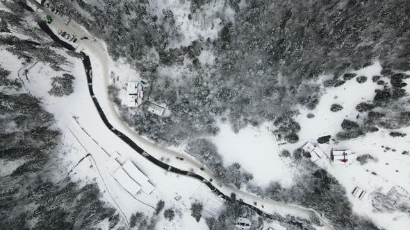 Aerial Photography of a Forest Covered with Snow
