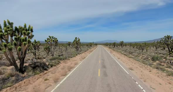 Flying over highway with Joshua Trees in Mojave Desert, CA