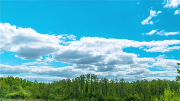 Clouds in the Blue Sky Above the Forest. Timelapse