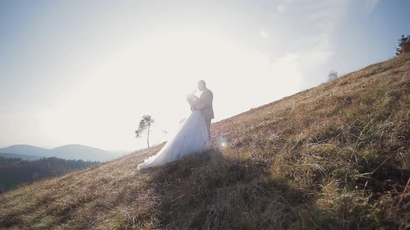Bride and Groom Stand in Front Each Other in the Autumn Mountains. Wide View. a Lonely Tree Behind