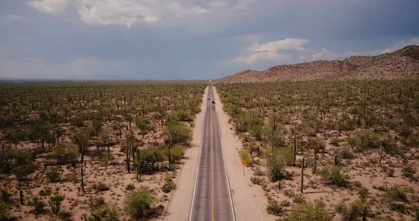 Drone Flying Forward Above Beautiful Desert Road with Cars in Big Atmospheric Cactus Field alt