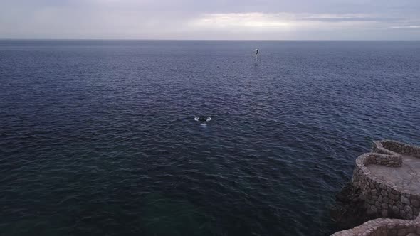Man swimming in the open sea alt