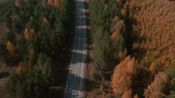 Road and moving cars between colorful autumn forest