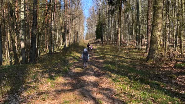 Young Boy Walking Through Spring Forest alt