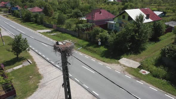 Aerial Shot Couple of White Storks Sitting in Their Nest on a Pillar Near Road in European Country