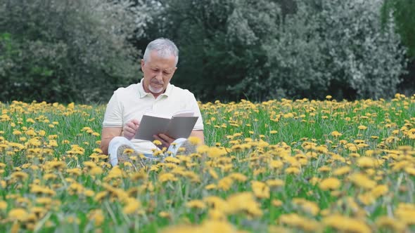 An Elderly Whitehaired Man with a Beard Sitting Alone on the Grass in a Nature Park with a Book