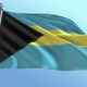 Bahamas Flag - VideoHive Item for Sale
