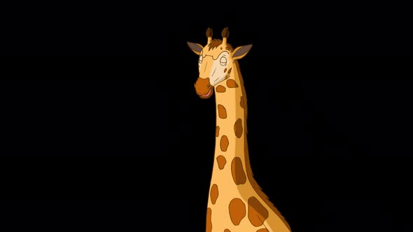 Big giraffe alpha matte close-up 4K
