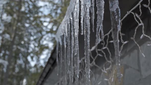 Icicles hang from the roof