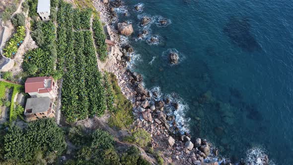 Turkey Mountain Coastline  Shore Mediterranean Sea alt