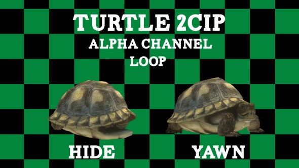 Turtle 2clip Loop Alpha