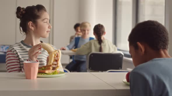 Girl Having Lunch in School Canteen alt