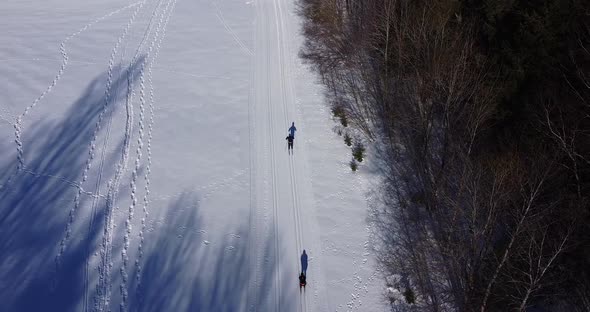 Person Skiing Down the Ski Track Drone Aerial View Above alt