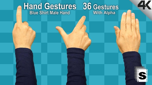 Hand Gestures Male Blue Shirt  